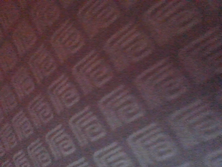 Latest Capture